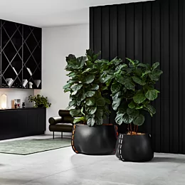 Stitch Series - Private Residence