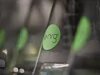 thumbnail: nrg-sid-shoot-ethanol-fermentation-4.jpg
