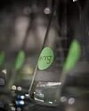 thumbnail: nrg-sid-shoot-ethanol-fermentation-4.jpg