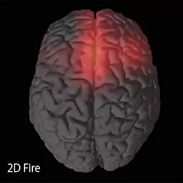 Brainwave Experiment