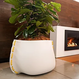 Stitch 125 - Showroom