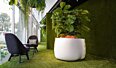 Stitch Plant Pot Collection