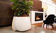 Stitch Plant Pot Collection