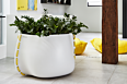 Stitch 125 Private Residence