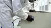 thumbnail: handcrafted-furniture.jpg