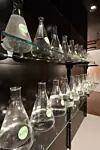 thumbnail: nrg-sid-shoot-ethanol-fermentation-5.jpg